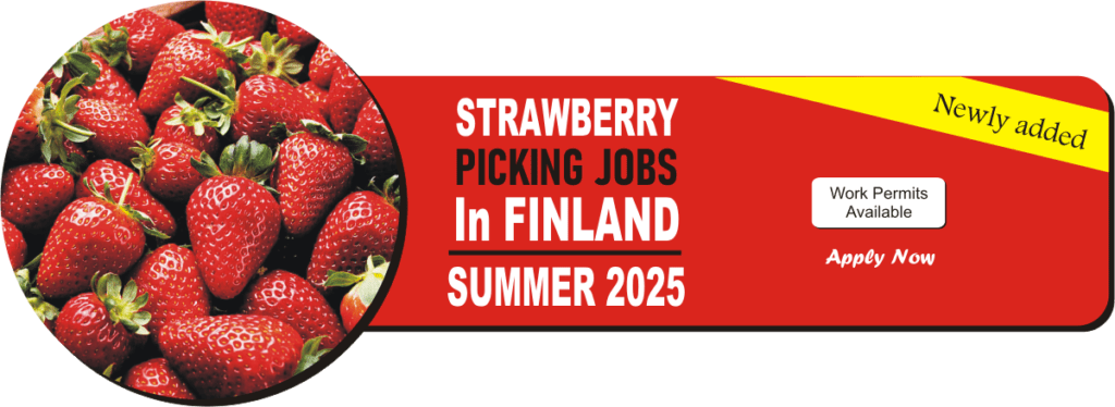 strawberry picking jobs in finland summer 2025 11