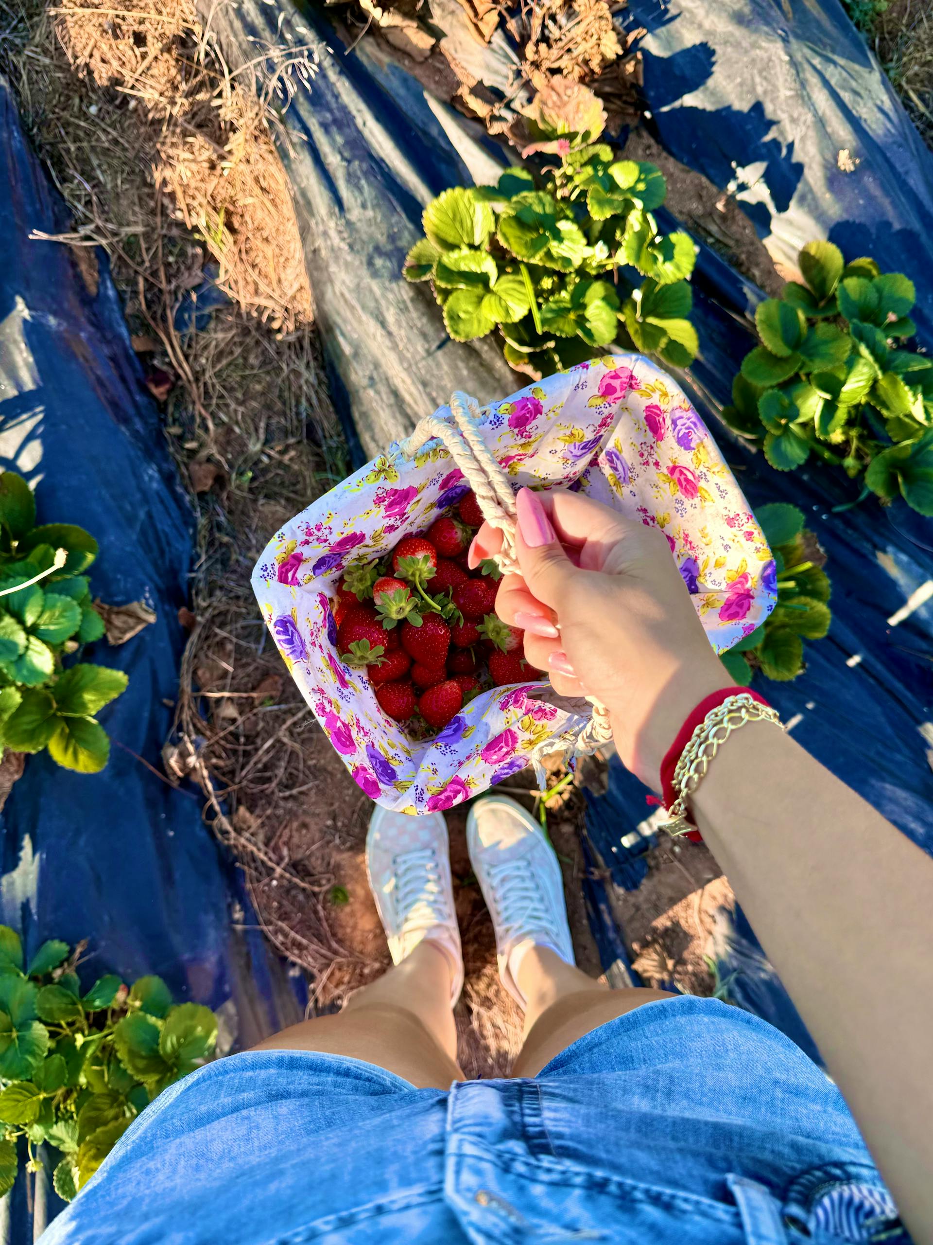 strawberry picking and packing seasonal jobs in Finland Summer 2025